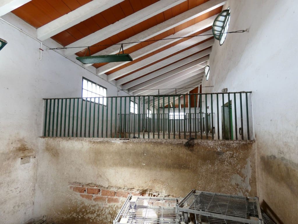 12 sovrum Finca/Hus på landet till salu i Almayate - 3 000 000 € (Ref: 3576715)