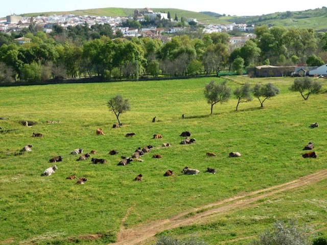 3 soveværelse Villa til salg i Sevilla by - € 469.000 (Ref: 3674173)