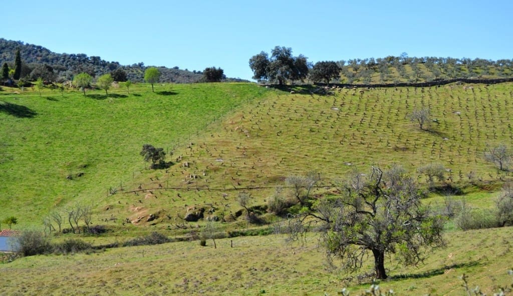 3 soveværelse Villa til salg i Sevilla by - € 469.000 (Ref: 3674173)