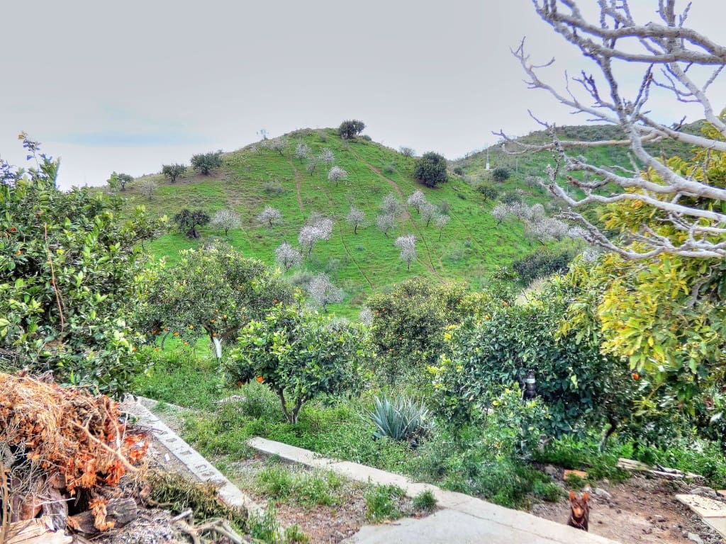 3 soveværelse Finca/Landehus til salg i Benajarafe med garage - € 365.000 (Ref: 4419057)