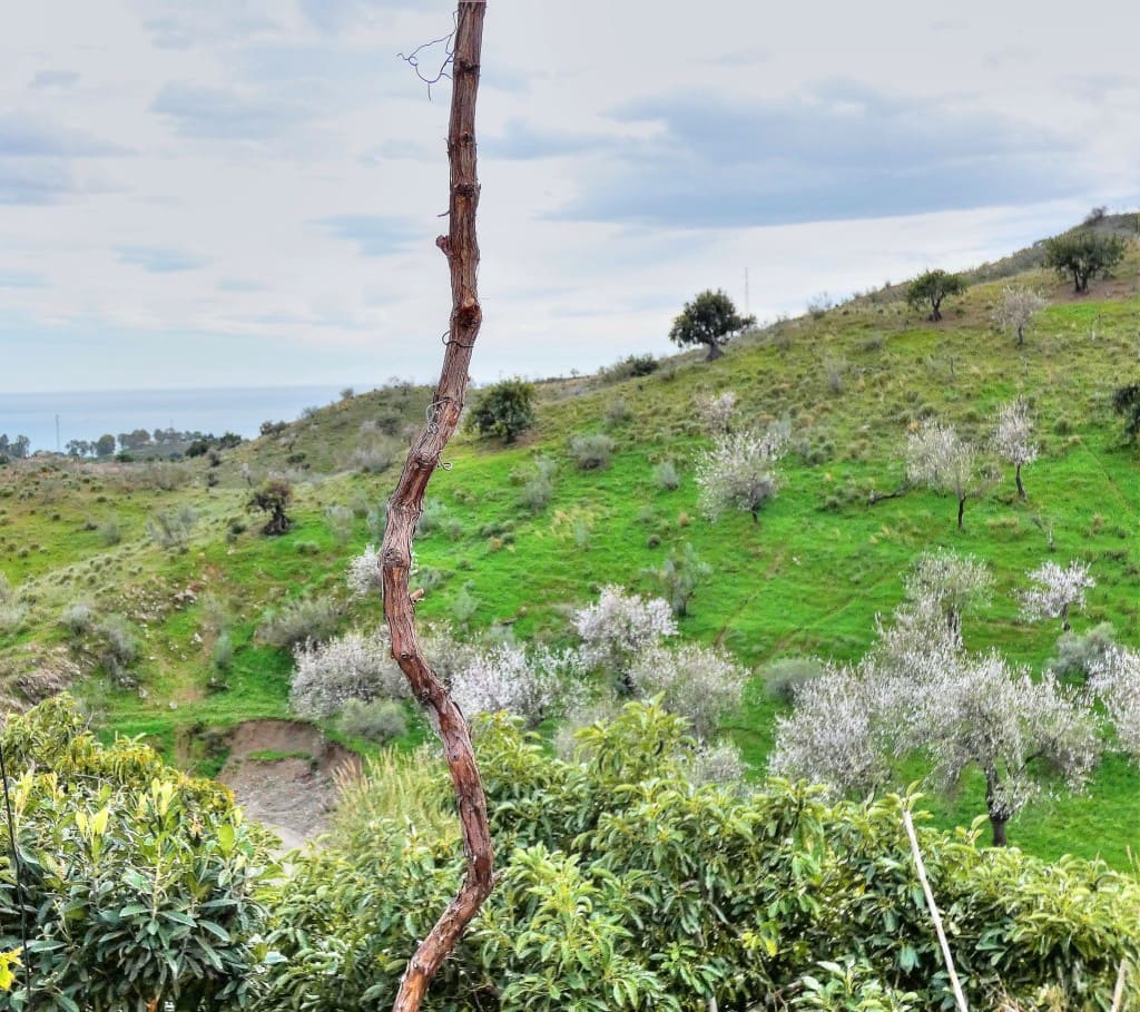 3 soveværelse Finca/Landehus til salg i Benajarafe med garage - € 365.000 (Ref: 4419057)