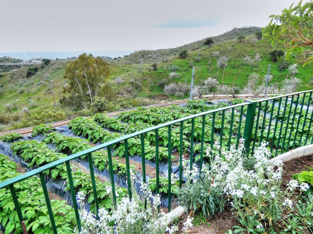 3 soveværelse Finca/Landehus til salg i Benajarafe med garage - € 365.000 (Ref: 4419057)