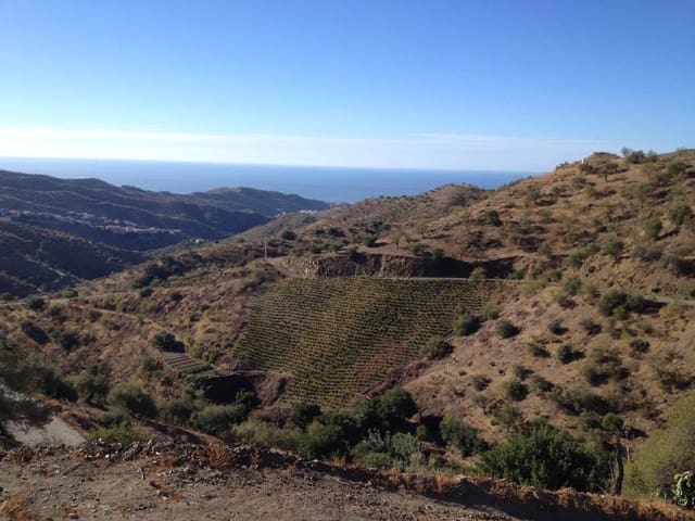 Działka budowlana na sprzedaż w Moclinejo - 480 000 € (Ref: 4517690)