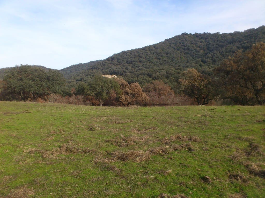 3 soveværelse Finca/Landehus til salg i Cordoba by - € 3.000.000 (Ref: 4700262)