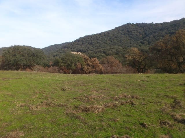 3 bedroom Finca/Country House for sale in Córdoba city - € 3,000,000 (Ref: 4700262)