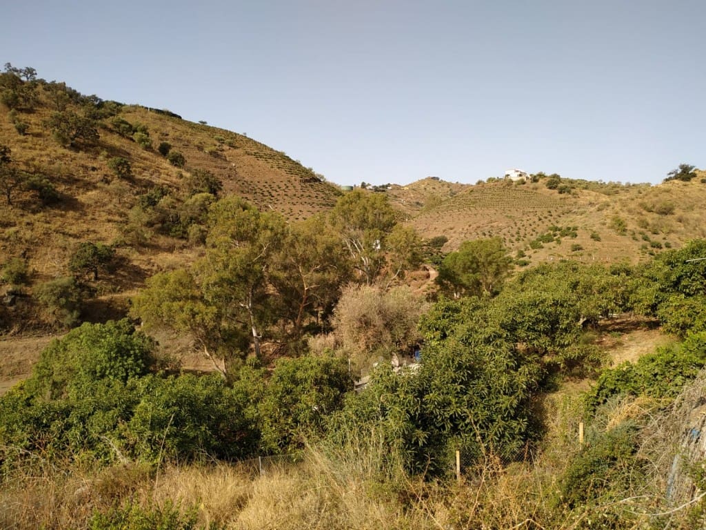 Bouwgrond te koop in Vinuela - € 36.000 (Ref: 4722796)