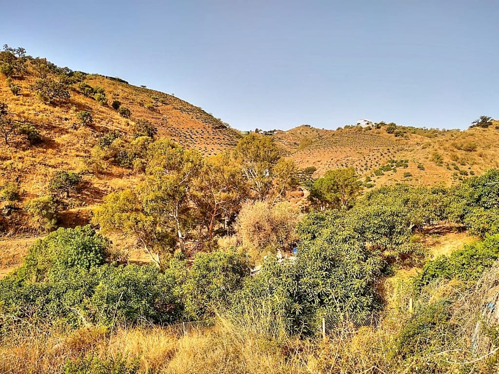 Tontti myytävänä paikassa Vinuela - 36 000 € (Ref: 4722796)