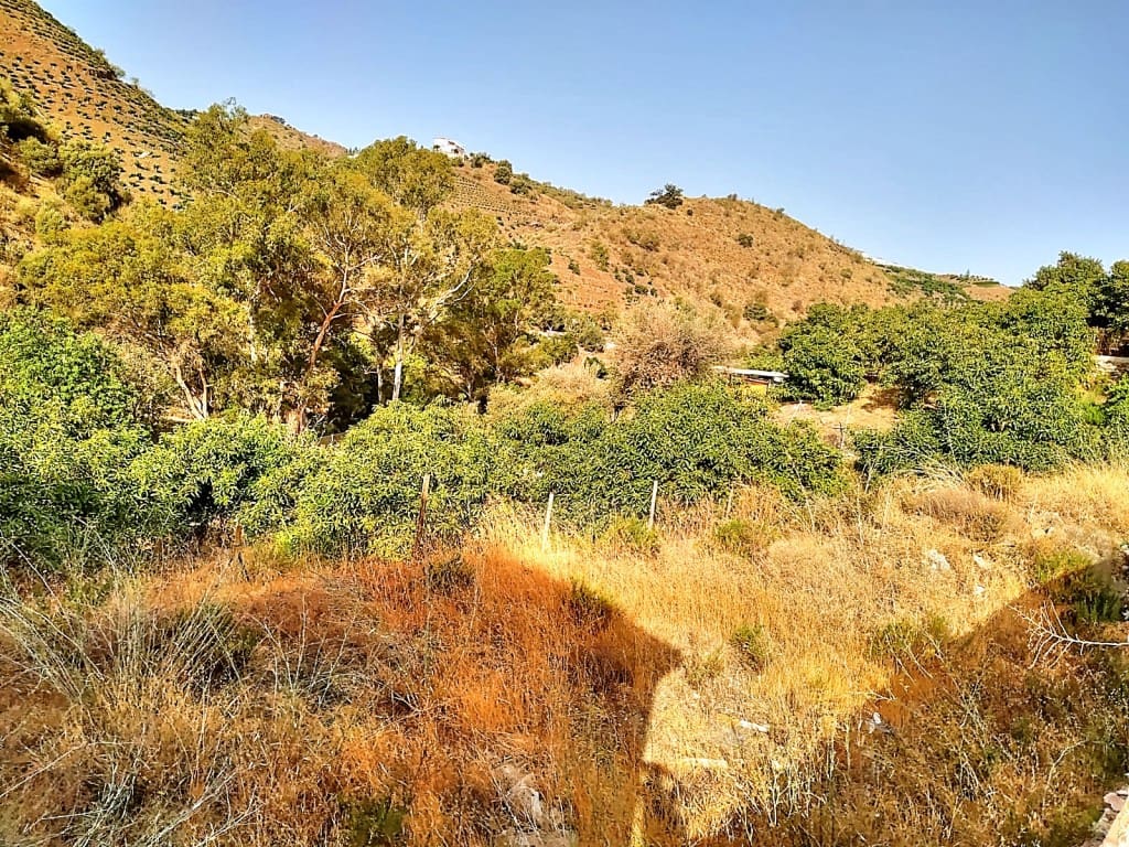 Tontti myytävänä paikassa Vinuela - 36 000 € (Ref: 4722796)