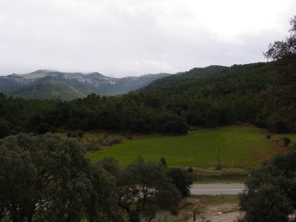 Byggegrund til salg i Albacete by - € 430.000 (Ref: 4816331)