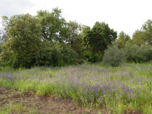 Building Plot for sale in Albacete city - € 430,000 (Ref: 4816331)