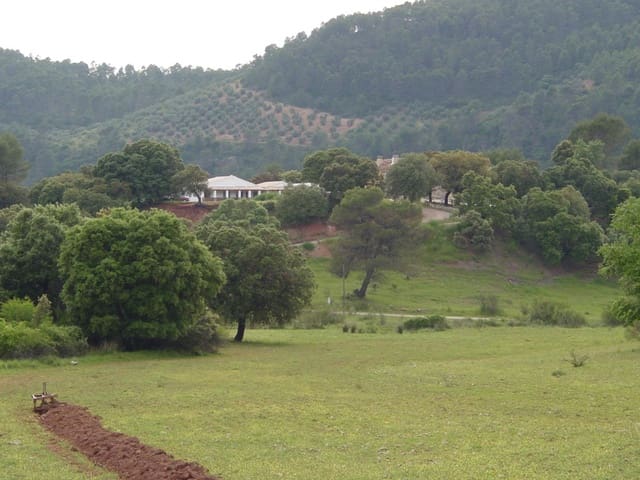 Building Plot for sale in Albacete city - € 430,000 (Ref: 4816331)