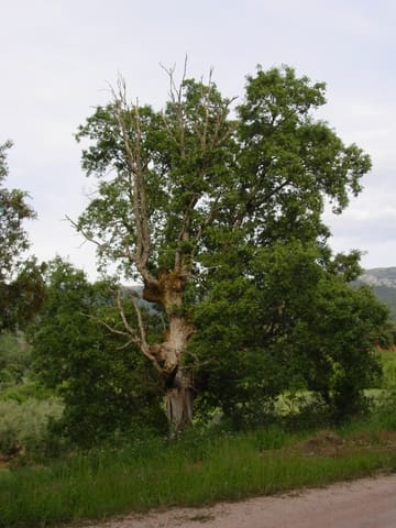 Building Plot for sale in Albacete city - € 430,000 (Ref: 4816331)