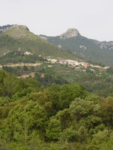 Building Plot for sale in Albacete city - € 430,000 (Ref: 4816331)