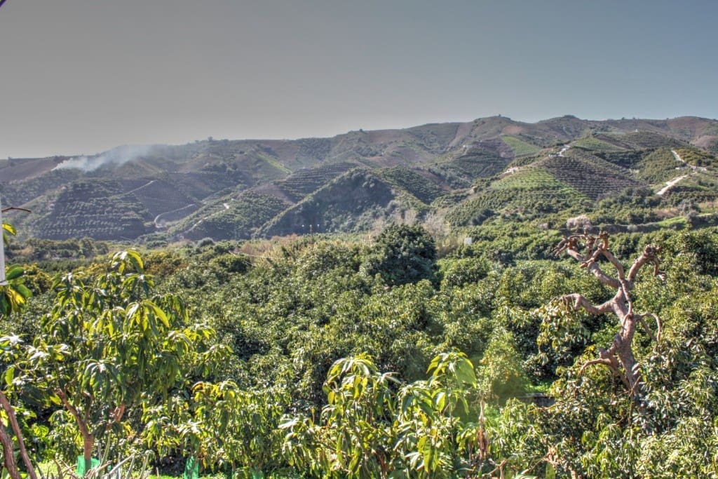 3 soveværelse Finca/Landehus til salg i Benamargosa - € 249.600 (Ref: 5101259)