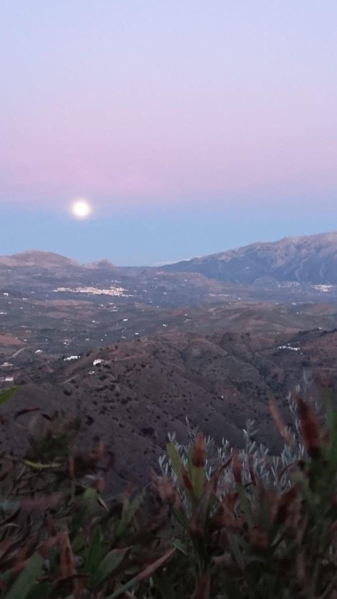 6 soverom Finca/Herregård til salgs i Colmenar - € 450 000 (Ref: 5503523)