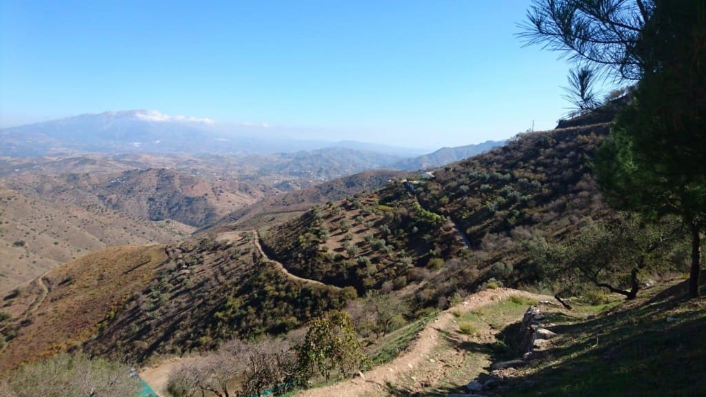 6 soverom Finca/Herregård til salgs i Colmenar - € 450 000 (Ref: 5503523)