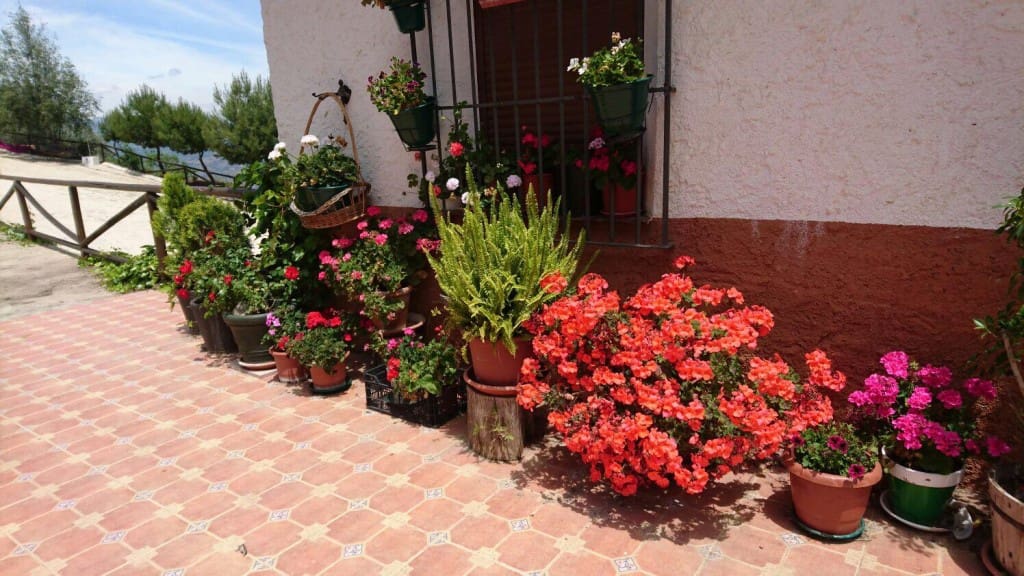 6 soverom Finca/Herregård til salgs i Colmenar - € 450 000 (Ref: 5503523)