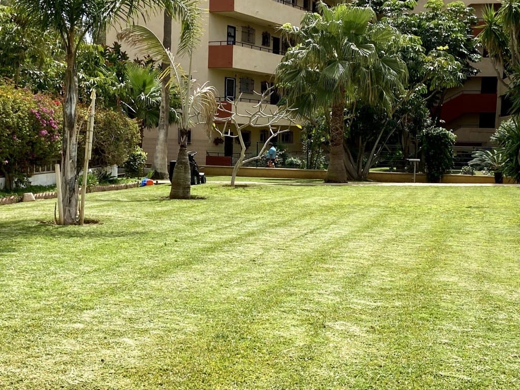 1 quarto Apartamento para arrendar em Benajarafe com piscina - 700 € (Ref: 5526780)