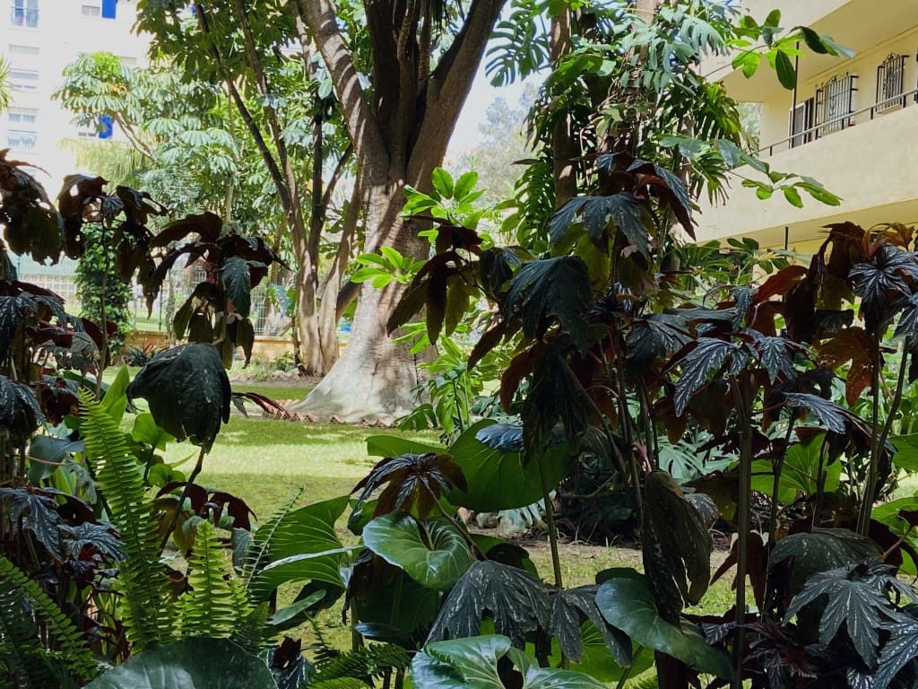 1 quarto Apartamento para arrendar em Benajarafe com piscina - 700 € (Ref: 5526780)