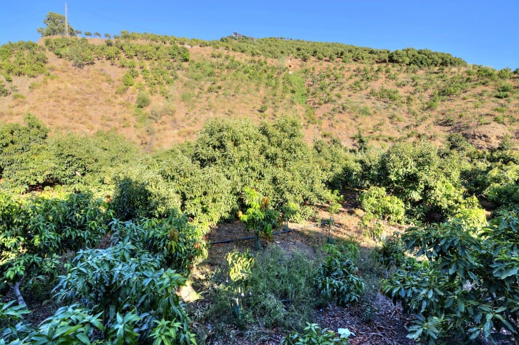 10 soveværelse Finca/Landehus til salg i Rubite med garage - € 849.900 (Ref: 5551930)