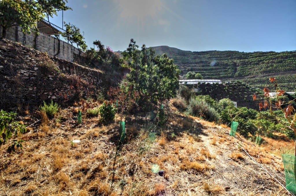 3 soveværelse Finca/Landehus til salg i Velez-Malaga - € 160.000 (Ref: 7078774)