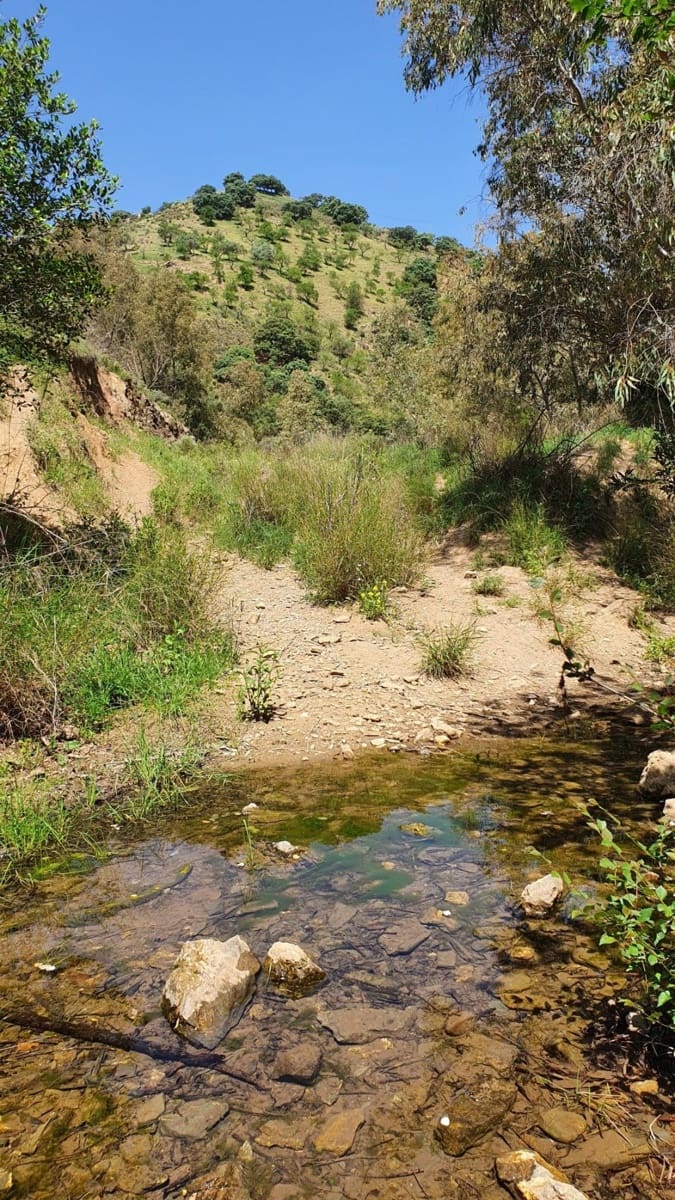 2 sypialnia Finka/Dom wiejski na sprzedaż w Colmenar - 295 000 € (Ref: 7435076)