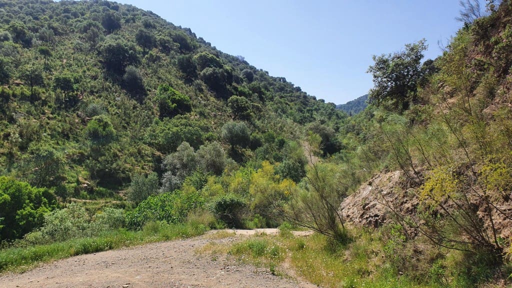 2 sypialnia Finka/Dom wiejski na sprzedaż w Colmenar - 295 000 € (Ref: 7435076)