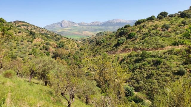 2 camera da letto Finca/Casa di Campagna in vendita in Colmenar - 295.000 € (Rif: 7435076)