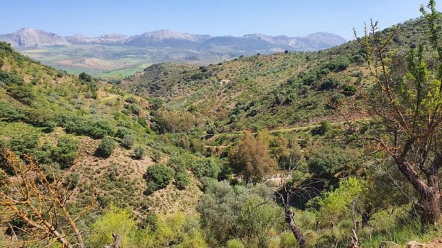 2 camera da letto Finca/Casa di Campagna in vendita in Colmenar - 295.000 € (Rif: 7435076)