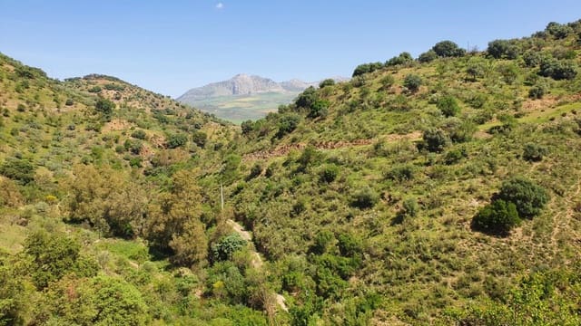 2 camera da letto Finca/Casa di Campagna in vendita in Colmenar - 295.000 € (Rif: 7435076)