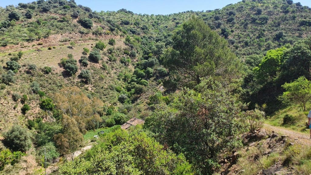 2 sypialnia Finka/Dom wiejski na sprzedaż w Colmenar - 295 000 € (Ref: 7435076)