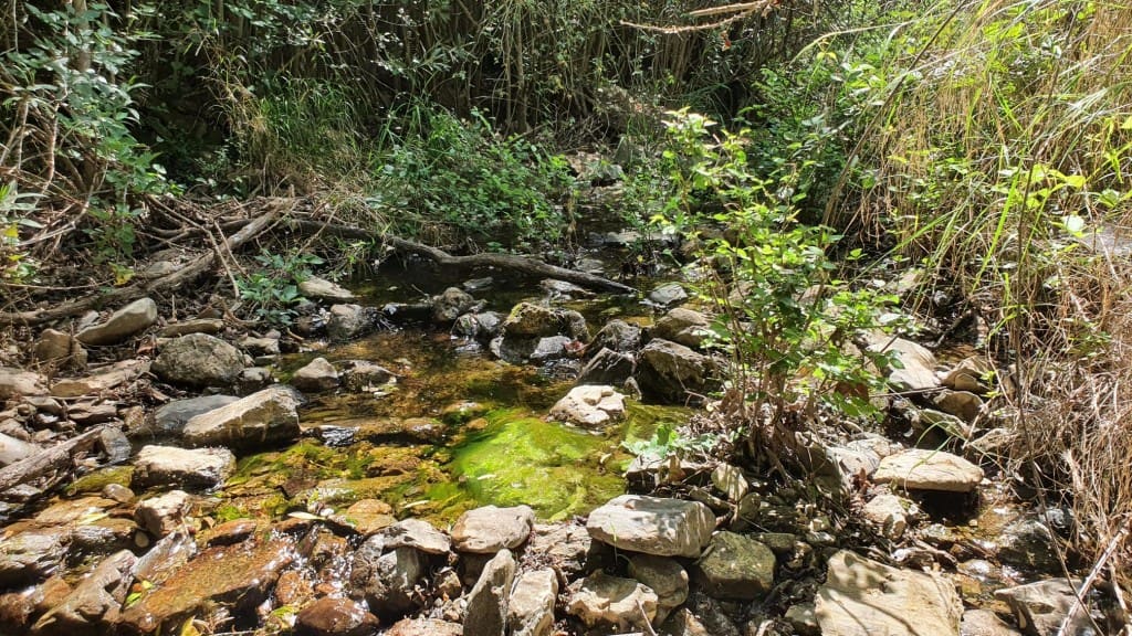 2 sypialnia Finka/Dom wiejski na sprzedaż w Colmenar - 295 000 € (Ref: 7435076)