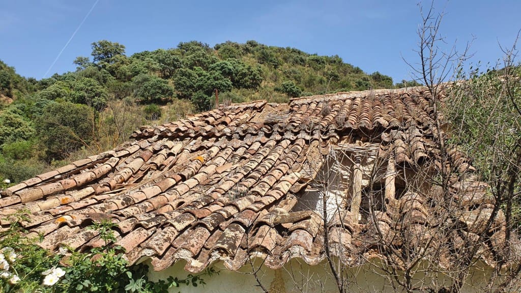 2 sypialnia Finka/Dom wiejski na sprzedaż w Colmenar - 295 000 € (Ref: 7435076)