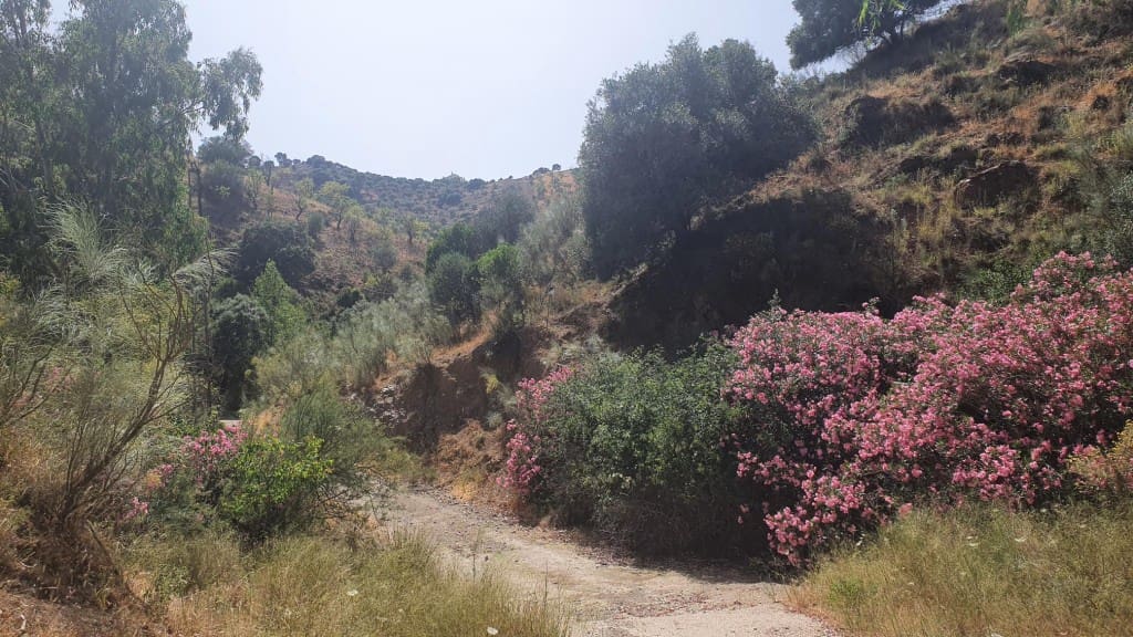 2 sypialnia Finka/Dom wiejski na sprzedaż w Colmenar - 295 000 € (Ref: 7435076)