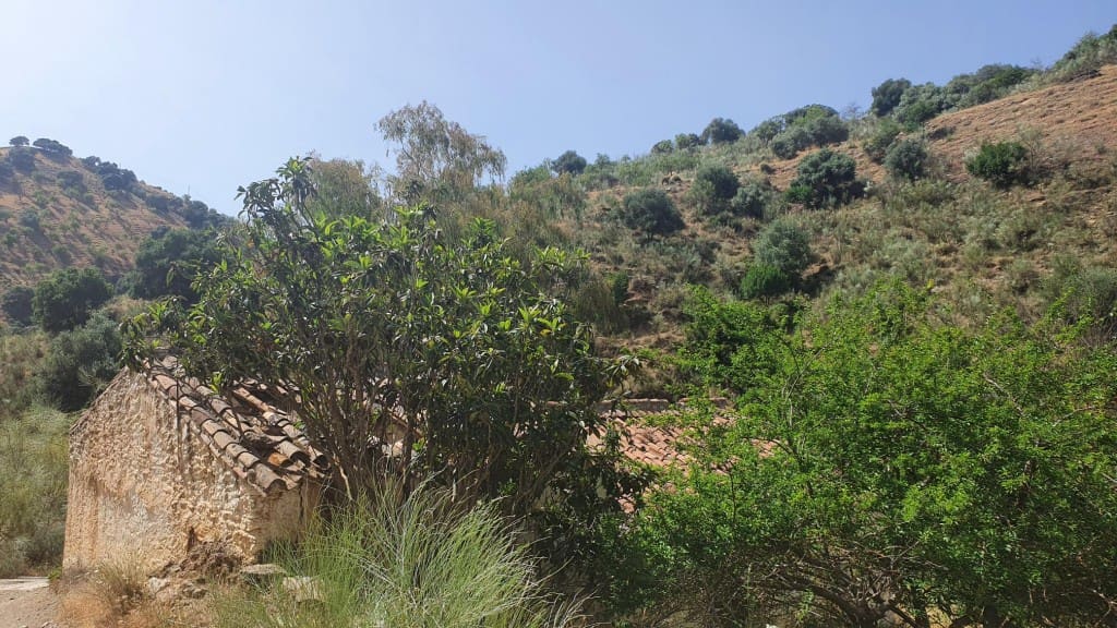 2 sypialnia Finka/Dom wiejski na sprzedaż w Colmenar - 295 000 € (Ref: 7435076)