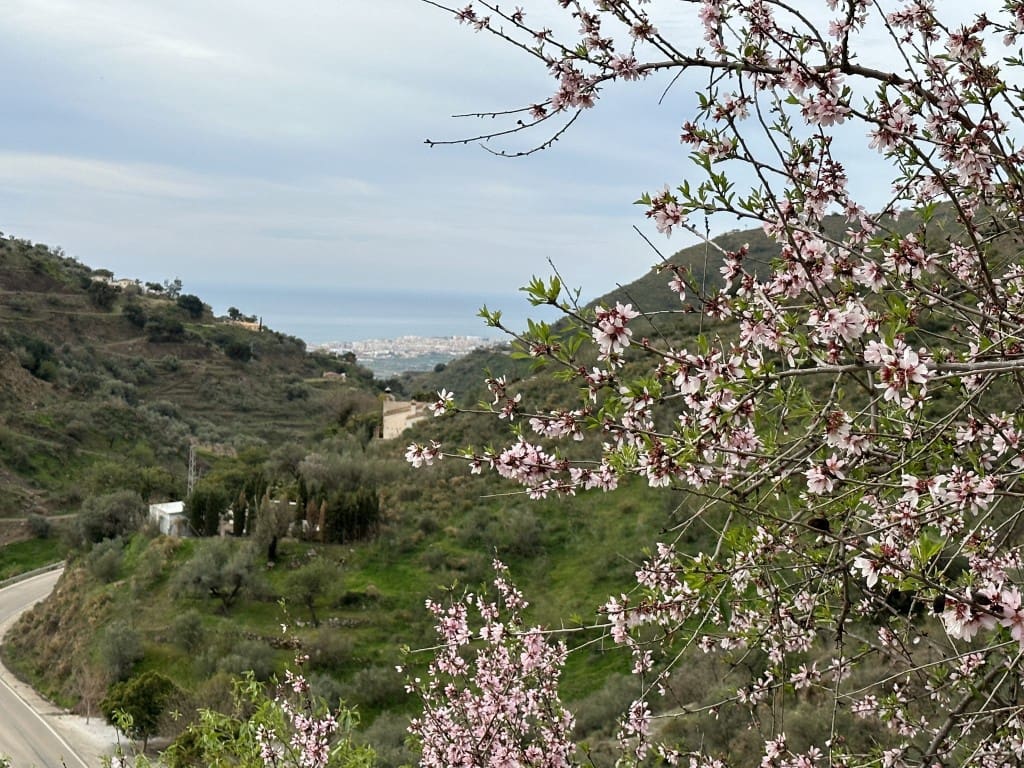 3 soverom Finca/Herregård til salgs i Arenas med svømmebasseng garasje - € 439 000 (Ref: 7440826)