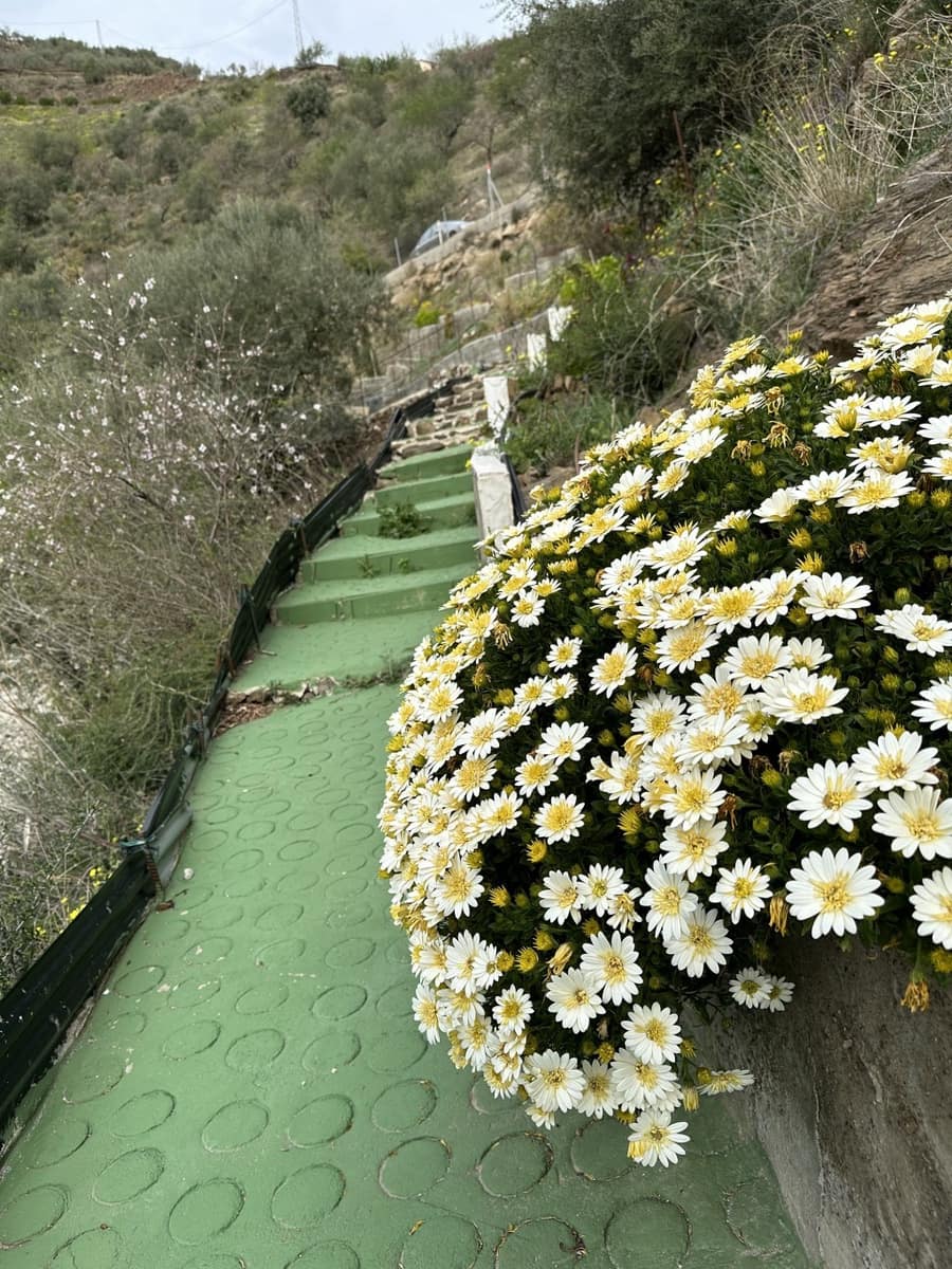 3 soverom Finca/Herregård til salgs i Arenas med svømmebasseng garasje - € 439 000 (Ref: 7440826)