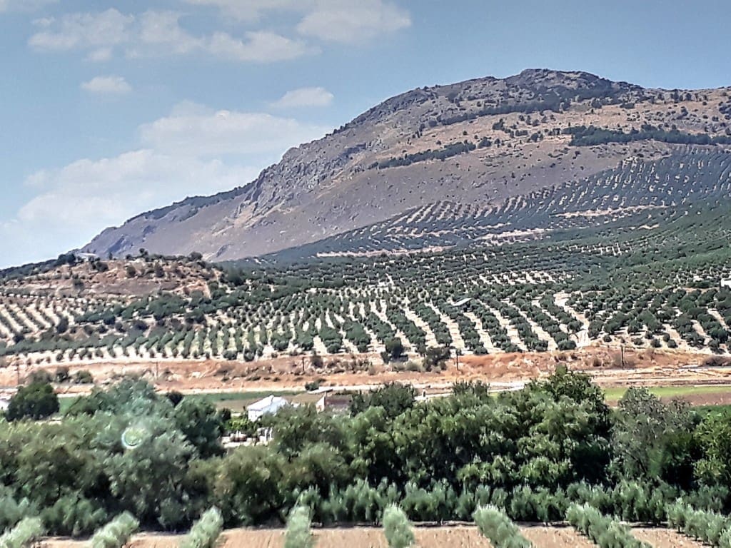 11 soveværelse Hotel til salg i Alfarnate - € 95.000 (Ref: 7478410)