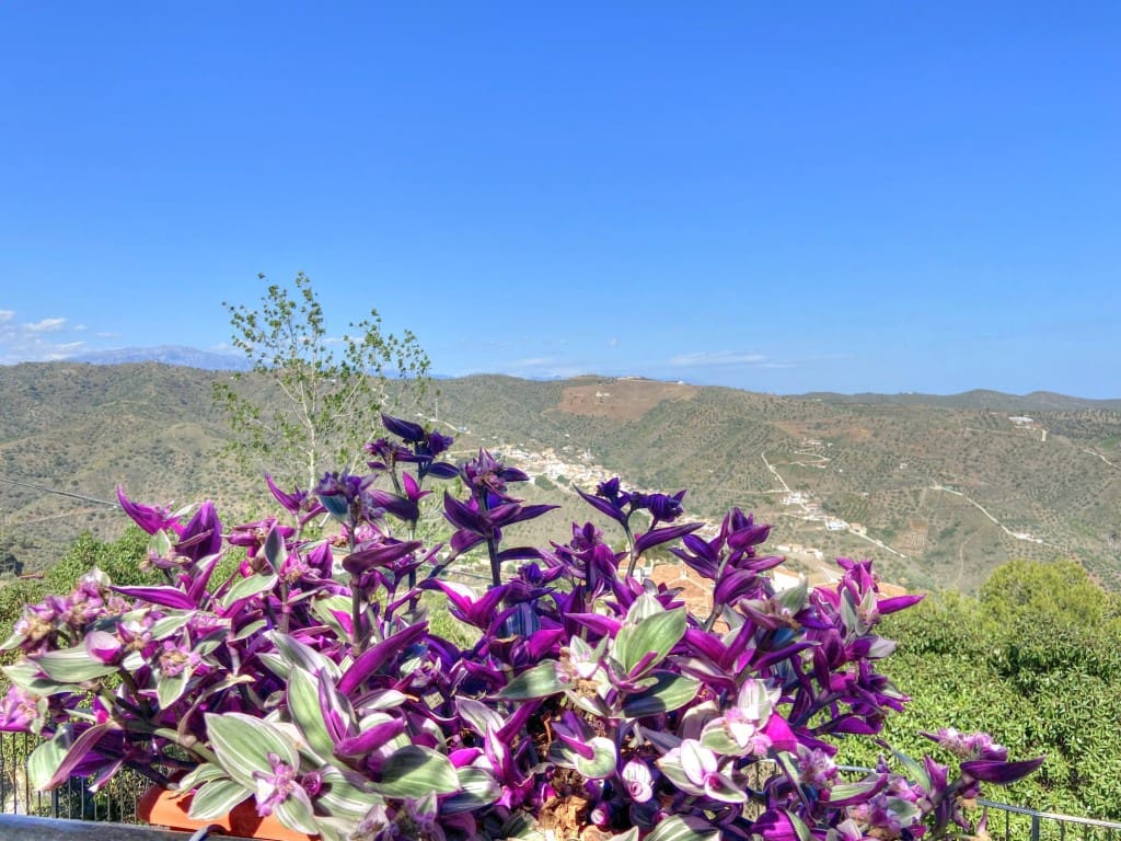 3 sypialnia Finka/Dom wiejski na sprzedaż w Moclinejo z basenem - 440 000 € (Ref: 7650415)