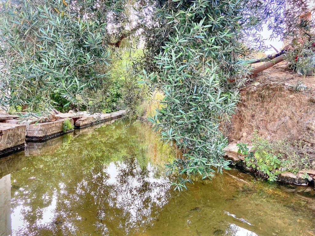 4 sypialnia Finka/Dom wiejski na sprzedaż w Riogordo z basenem garażem - 373 000 € (Ref: 7724637)