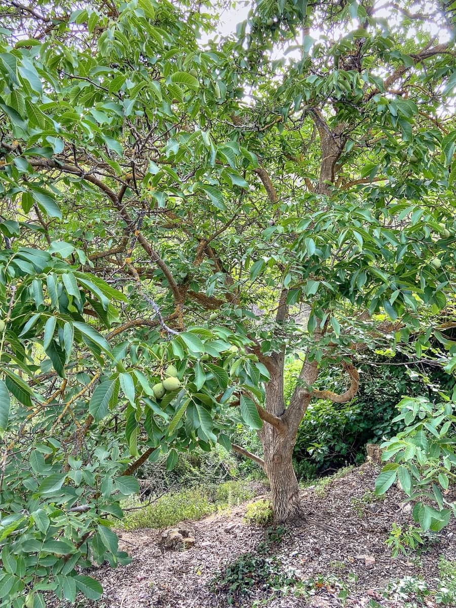 4 sypialnia Finka/Dom wiejski na sprzedaż w Riogordo z basenem garażem - 373 000 € (Ref: 7724637)