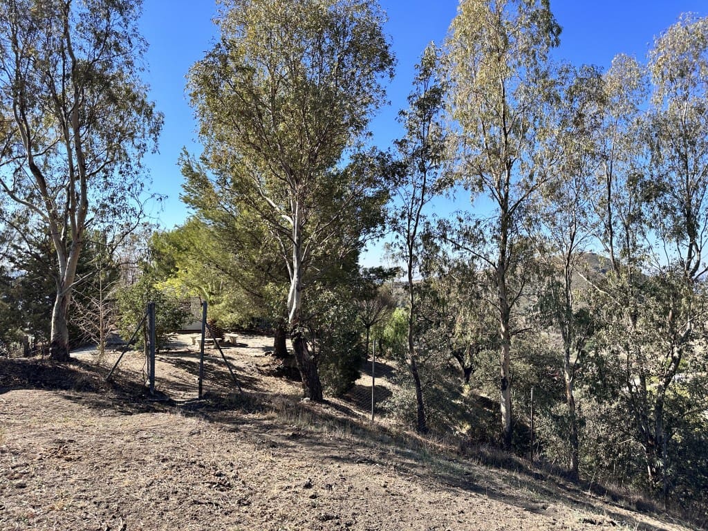 3 camera da letto Finca/Casa di Campagna in vendita in Canillas de Aceituno con piscina - 398.000 € (Rif: 7825612)