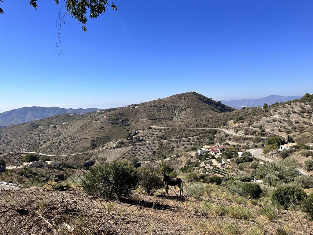 3 camera da letto Finca/Casa di Campagna in vendita in Canillas de Aceituno con piscina - 398.000 € (Rif: 7825612)