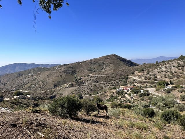 3 soveværelse Finca/Landehus til salg i Canillas de Aceituno med swimmingpool - € 398.000 (Ref: 7825612)