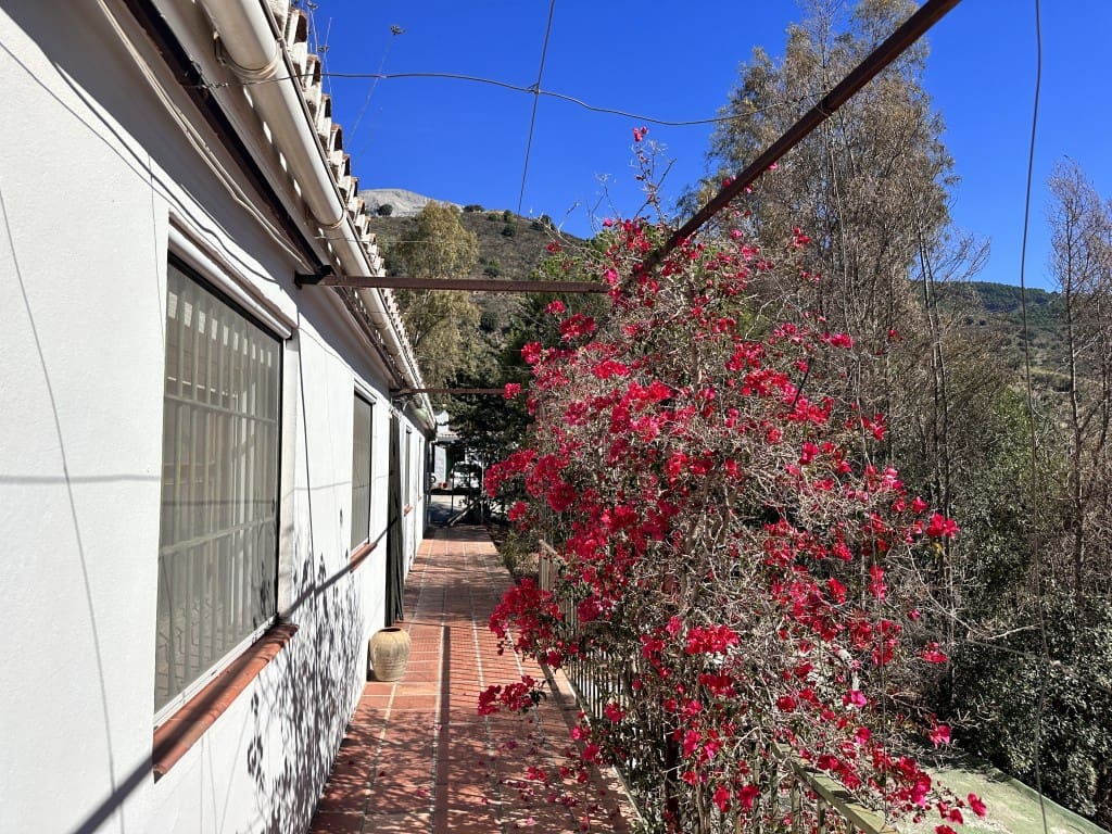 3 camera da letto Finca/Casa di Campagna in vendita in Canillas de Aceituno con piscina - 398.000 € (Rif: 7825612)