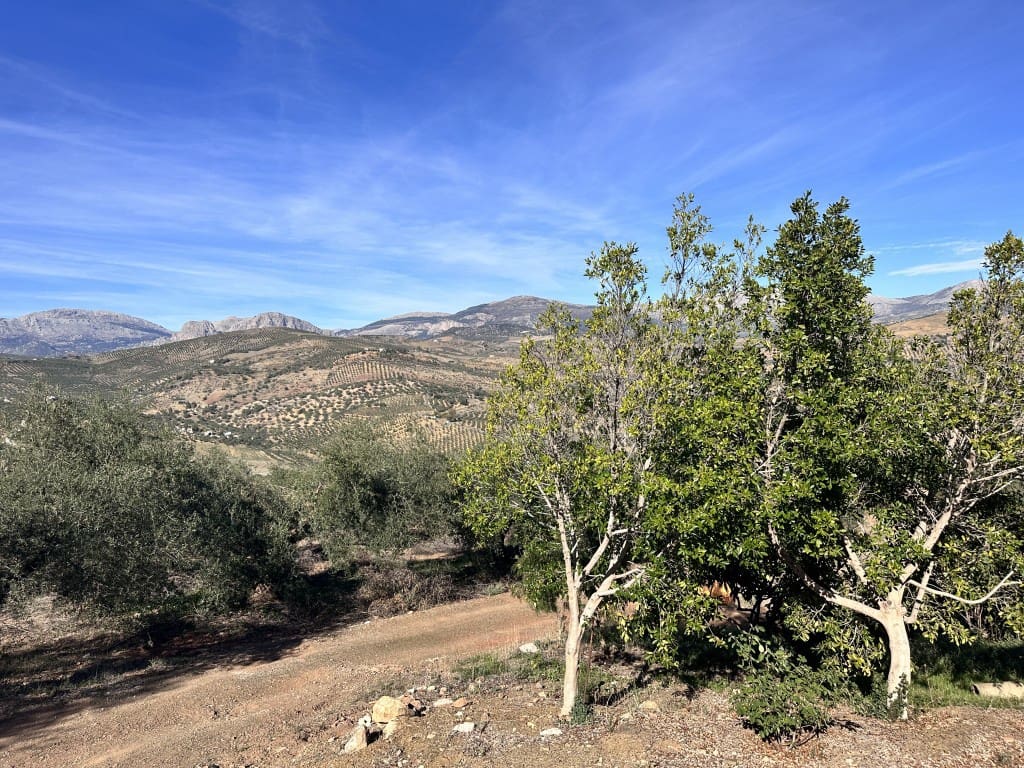 6 soveværelse Finca/Landehus til salg i Comares - € 425.000 (Ref: 7911160)