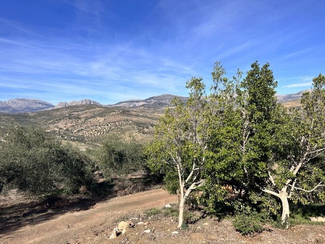 6 chambre Finca/Maison de Campagne à vendre à Comares - 425 000 € (Ref: 7911160)