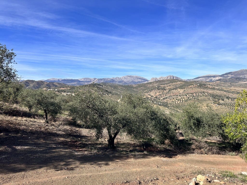 6 soveværelse Finca/Landehus til salg i Comares - € 425.000 (Ref: 7911160)