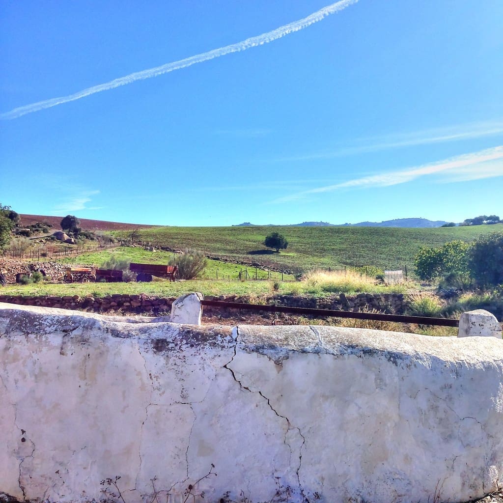 10 soverom Finca/Herregård til salgs i Alora - € 990 000 (Ref: 7991558)