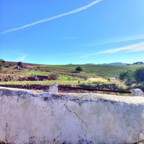 10 soverom Finca/Herregård til salgs i Alora - € 990 000 (Ref: 7991558)